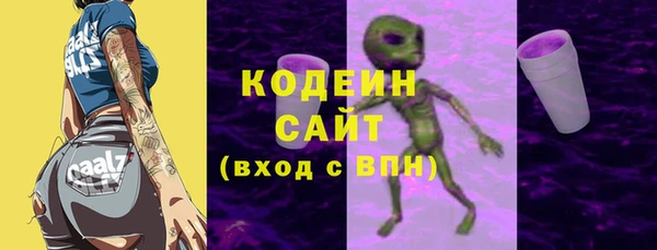 гашик Мегион