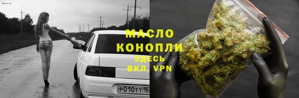 гашик Мегион