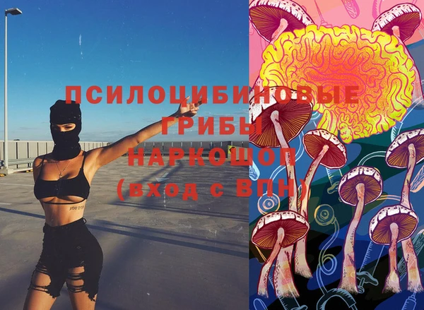 бутират Медногорск