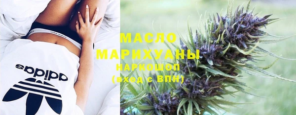 гашик Мегион